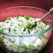 Onion, Cilantro and Lime Juice Relish