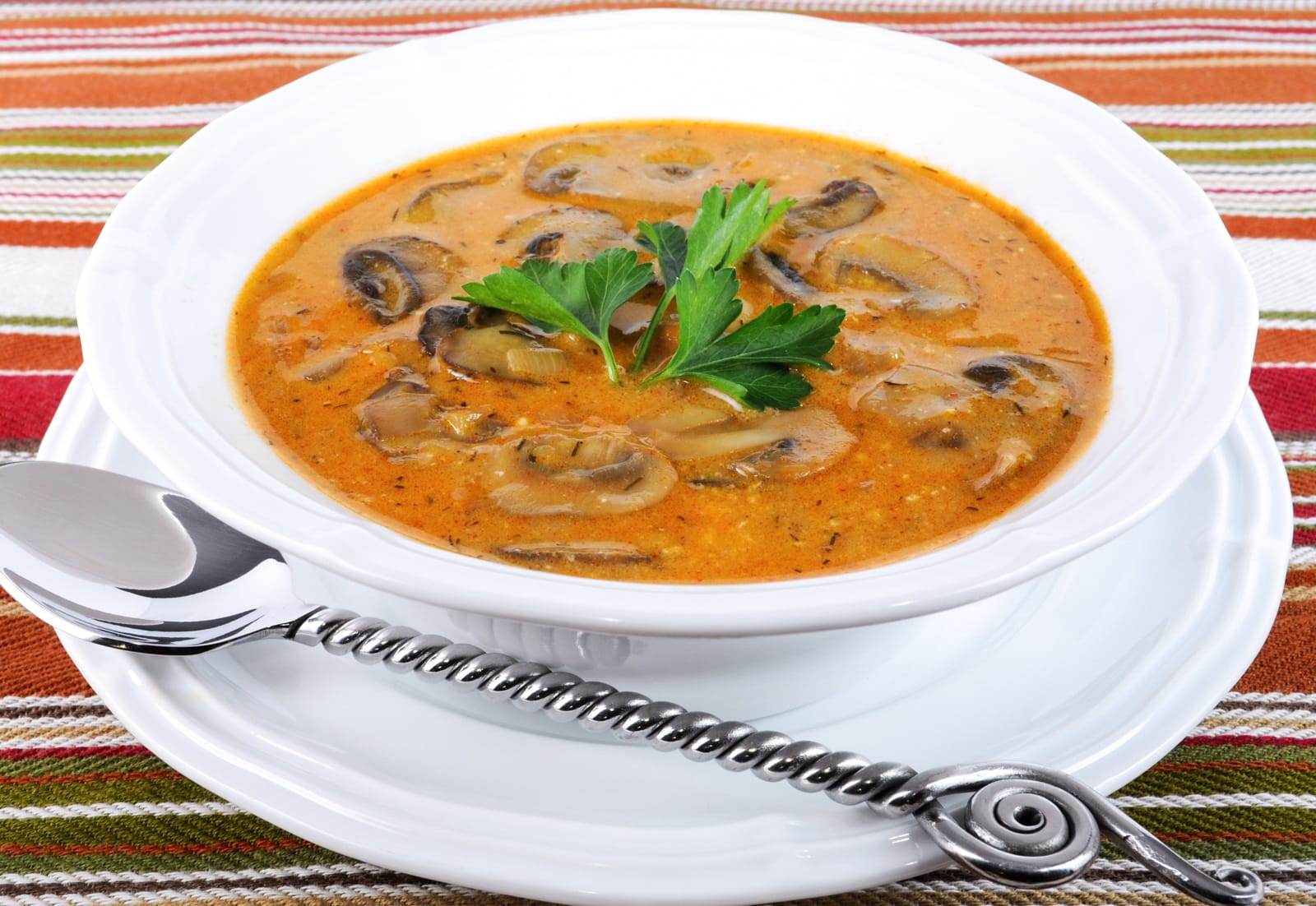 Hungarian Mushroom Soup