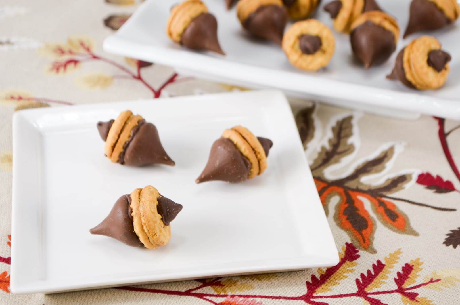 "Acorn" Chocolate Peanut Butter Treats