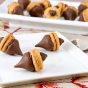 "Acorn" Chocolate Peanut Butter Treats