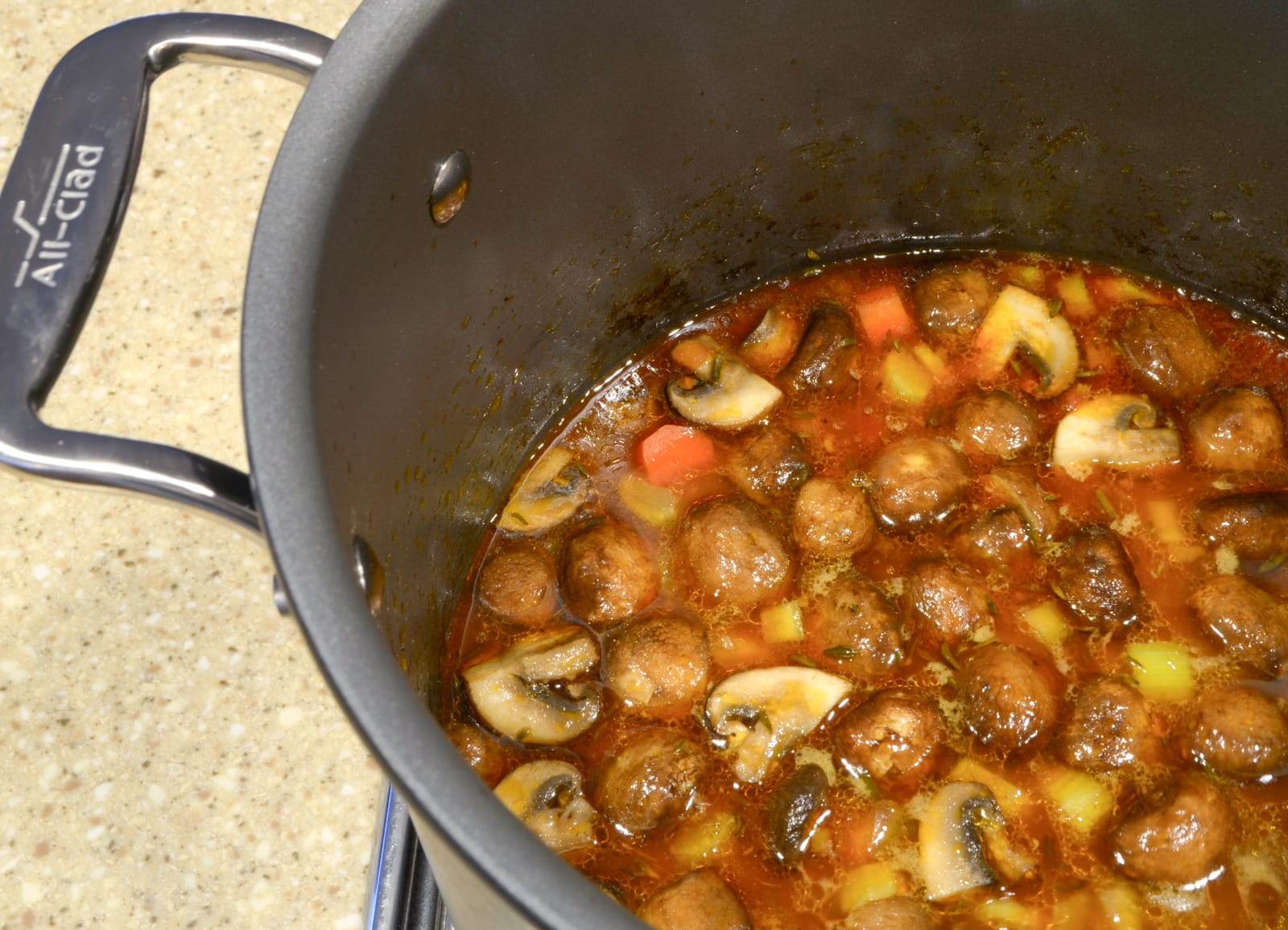 Slow Simmered Beef and Mushroom Stew