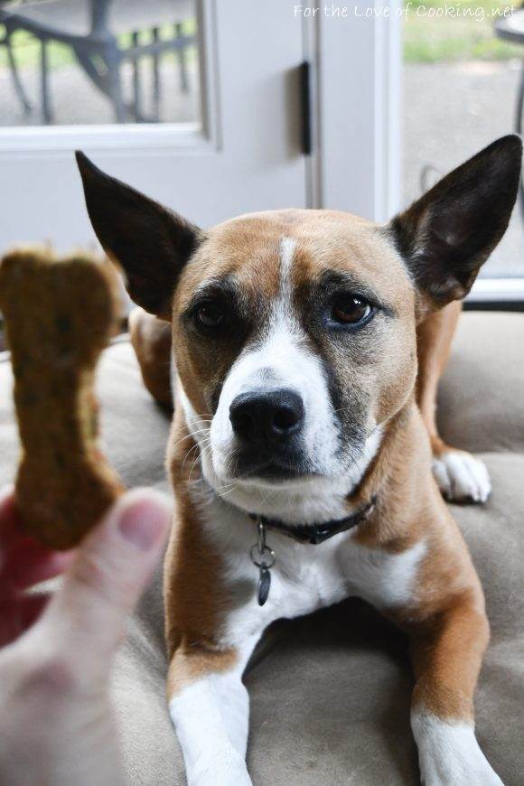 Oat, Banana, Carrot, and Parsley Dog Treats