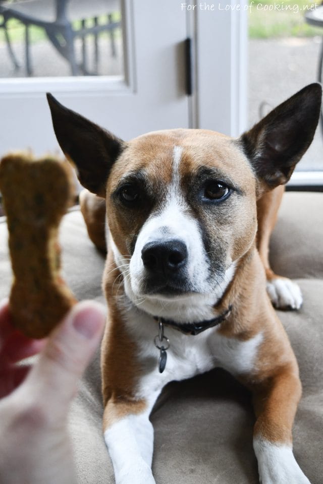 Oat, Banana, Carrot, and Parsley Dog Treats | For the Love of Cooking