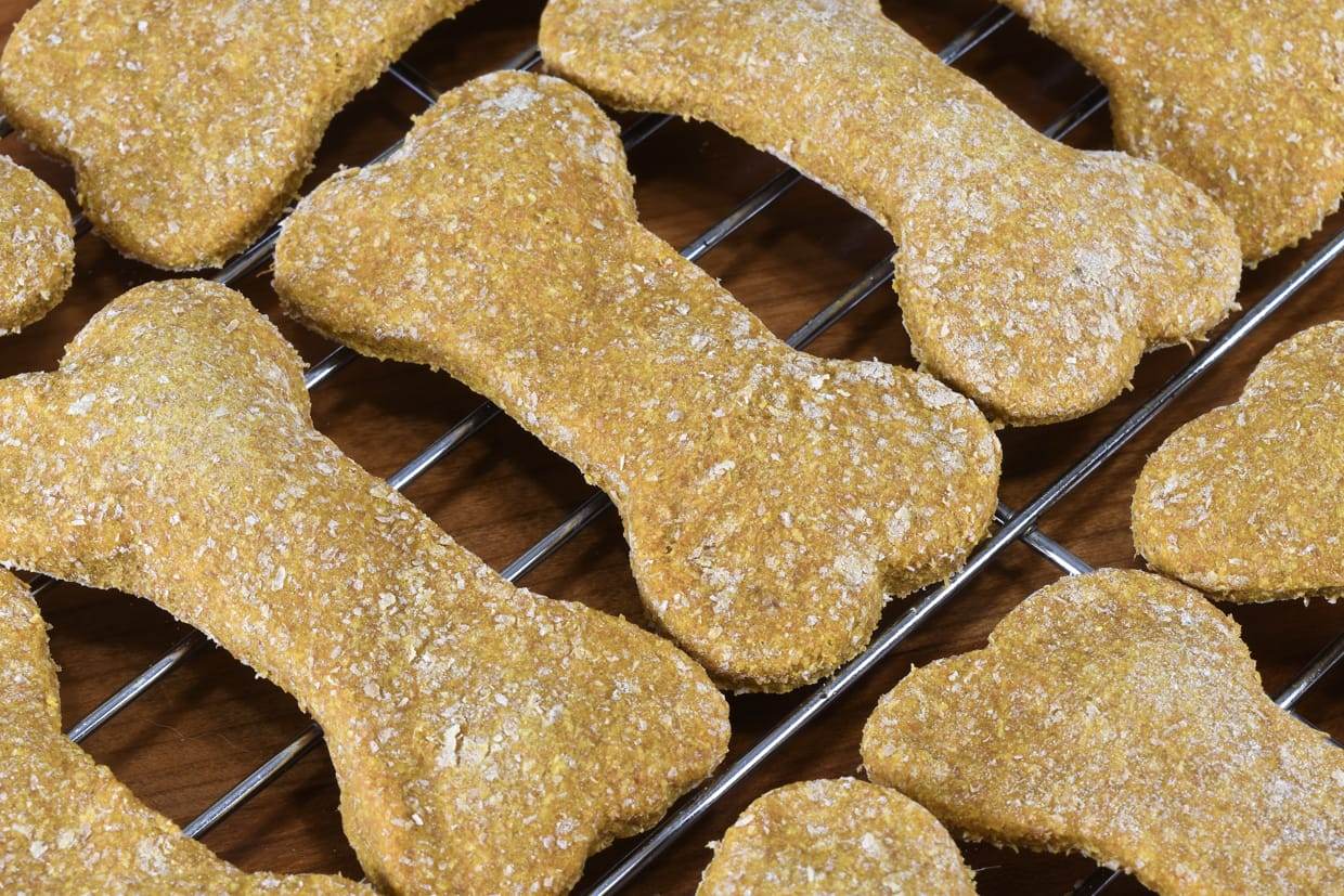 Pumpkin Banana Dog Treats