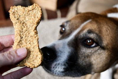 Apple Cinnamon Oatmeal Dog Treats