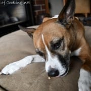 https://twolittlecavaliers.com/2013/11/make-apple-cinnamon-dog-treats.html
