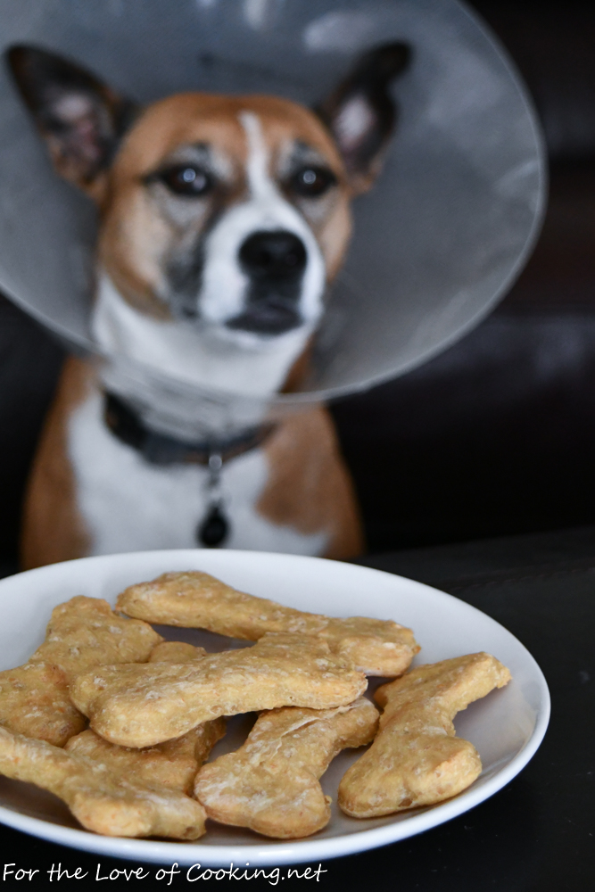 Chicken, Cheddar, and Brown Rice Dog Treats | For the love of cooking