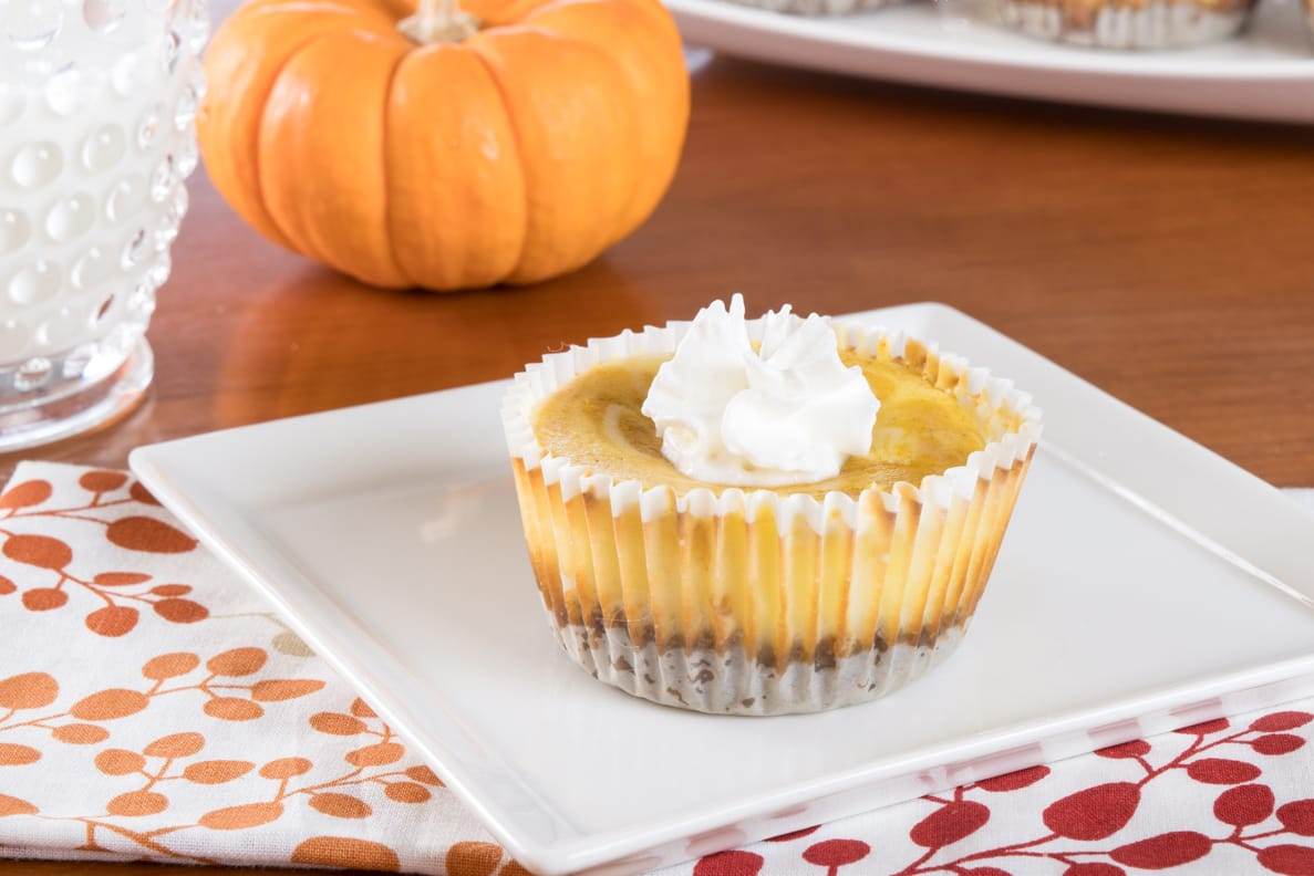 Mini Pumpkin Swirl Cheesecake with Gingersnap Crust