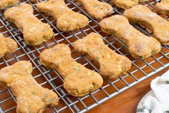 Pumpkin, Apple, and Mint Dog Treats