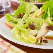 Butter Lettuce with Blue Cheese, Apples, and Candied Pecans with a Balsamic Vinaigrette