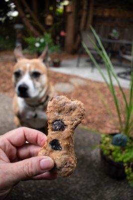 Blueberry, Oat, and Peanut Butter Dog Treats