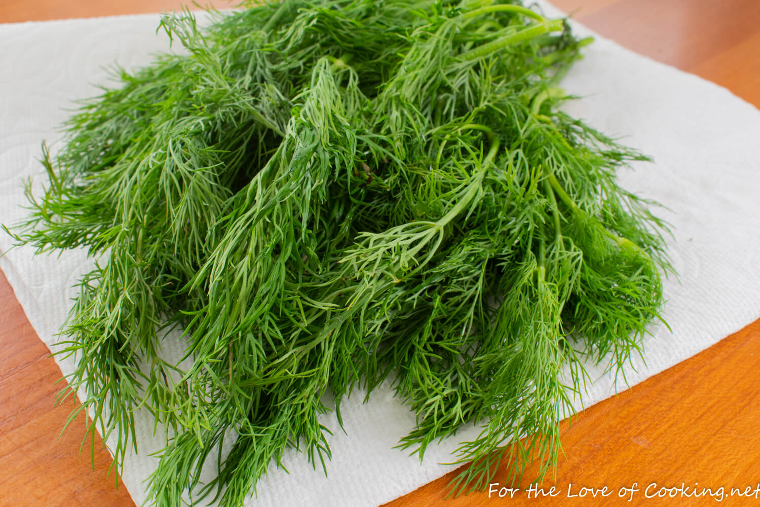 How to Dry Fresh Dill
