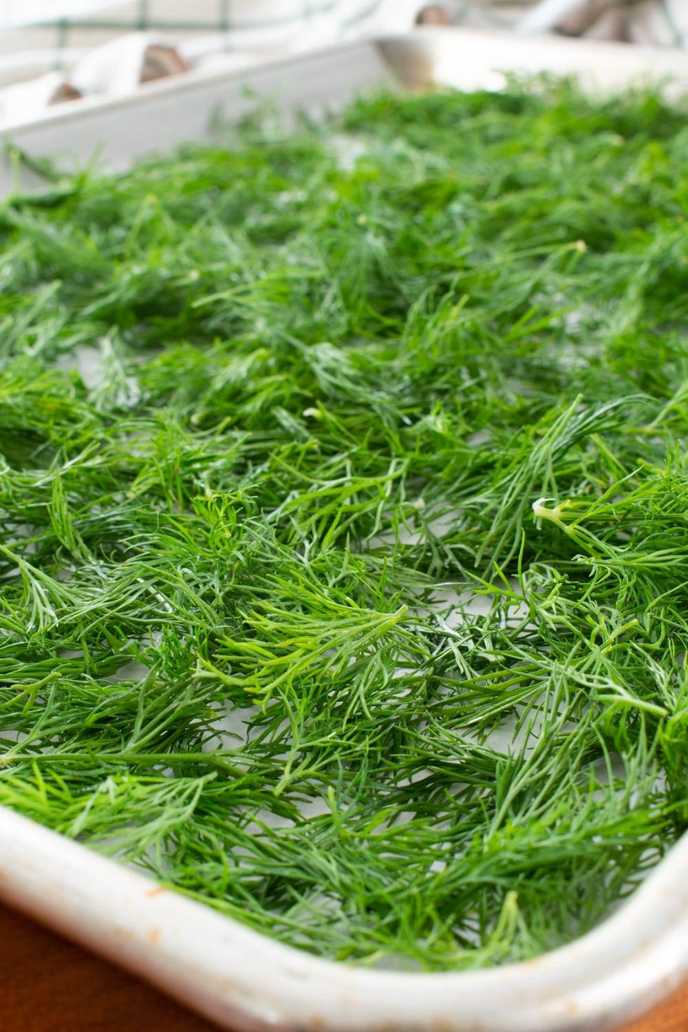 How to Dry Fresh Dill