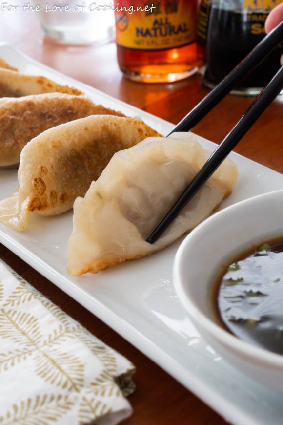 Pork and Cabbage Gyoza (Japanese Dumplings)