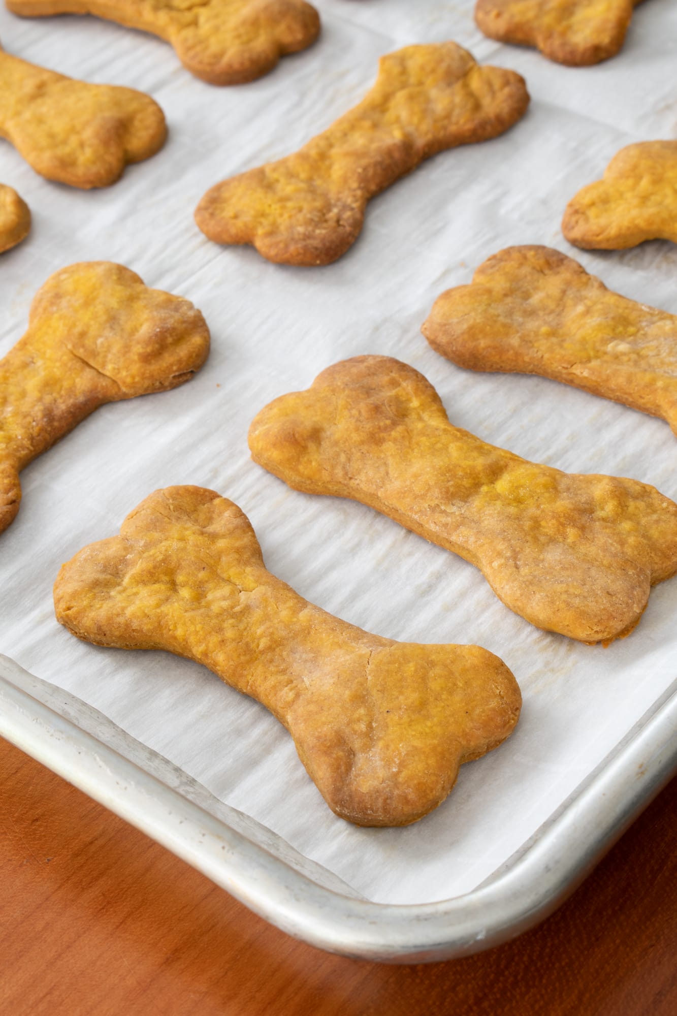 pumpkin-peanut-butter-dog-treats-for-the-love-of-cooking