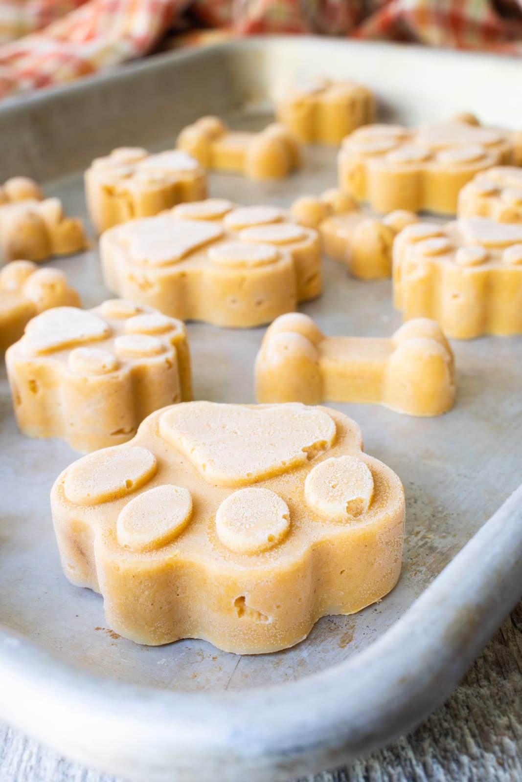 Frozen Pumpkin Peanut Butter Dog Treats