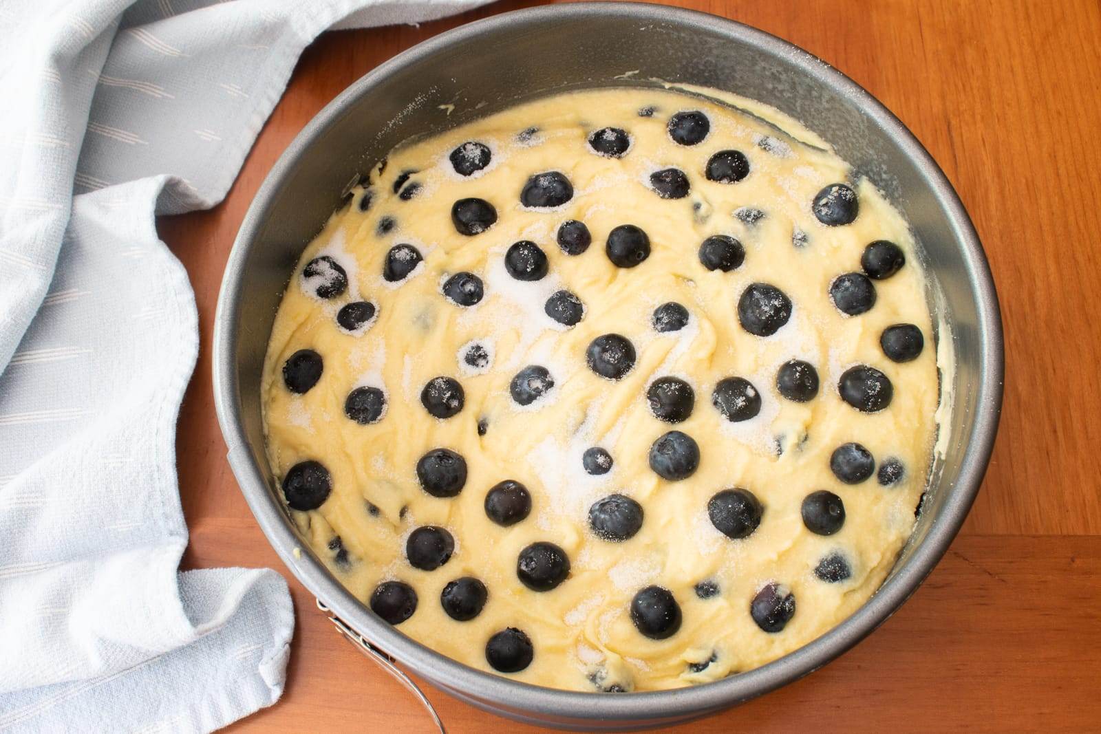 Blueberry Ricotta Cake