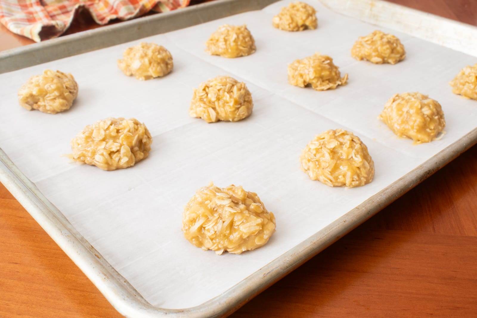 Coconut Oatmeal Cookies