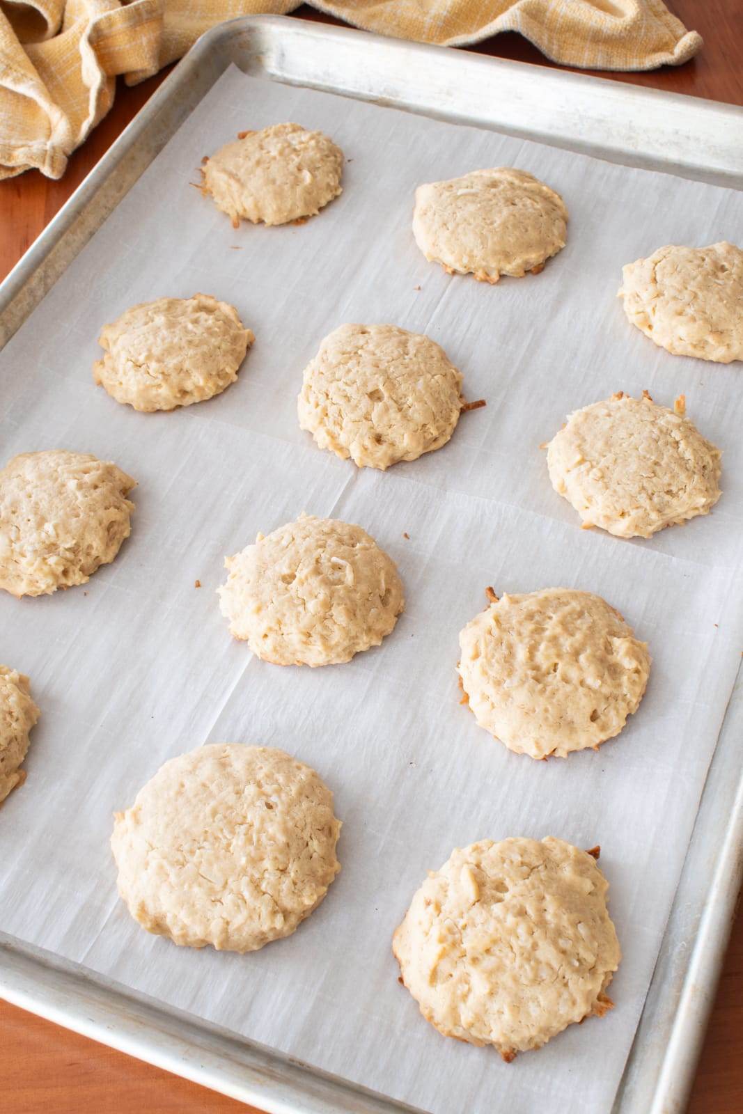 Chocolate Dipped Coconut Cookies