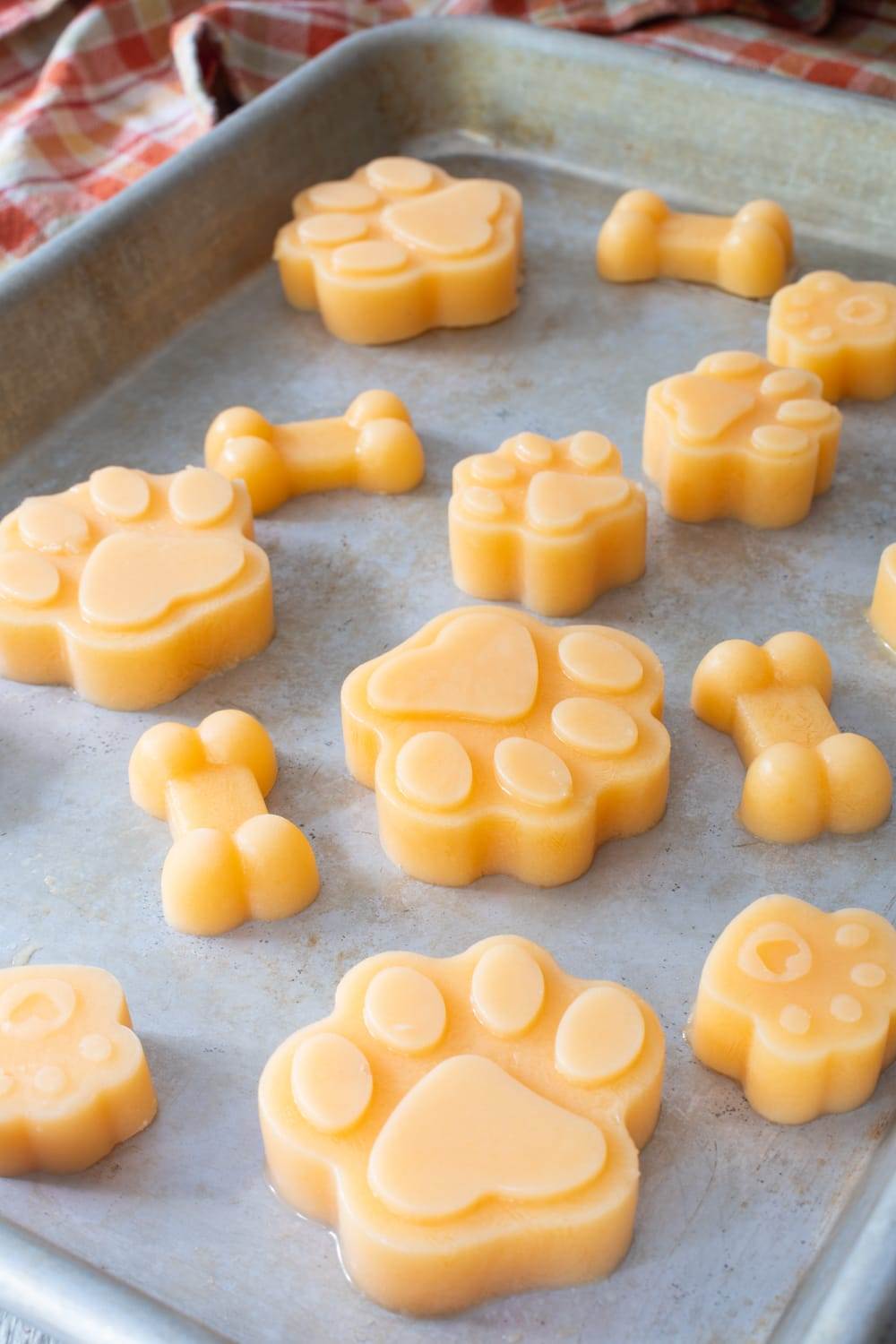 Frozen Cantaloupe Dog Treats