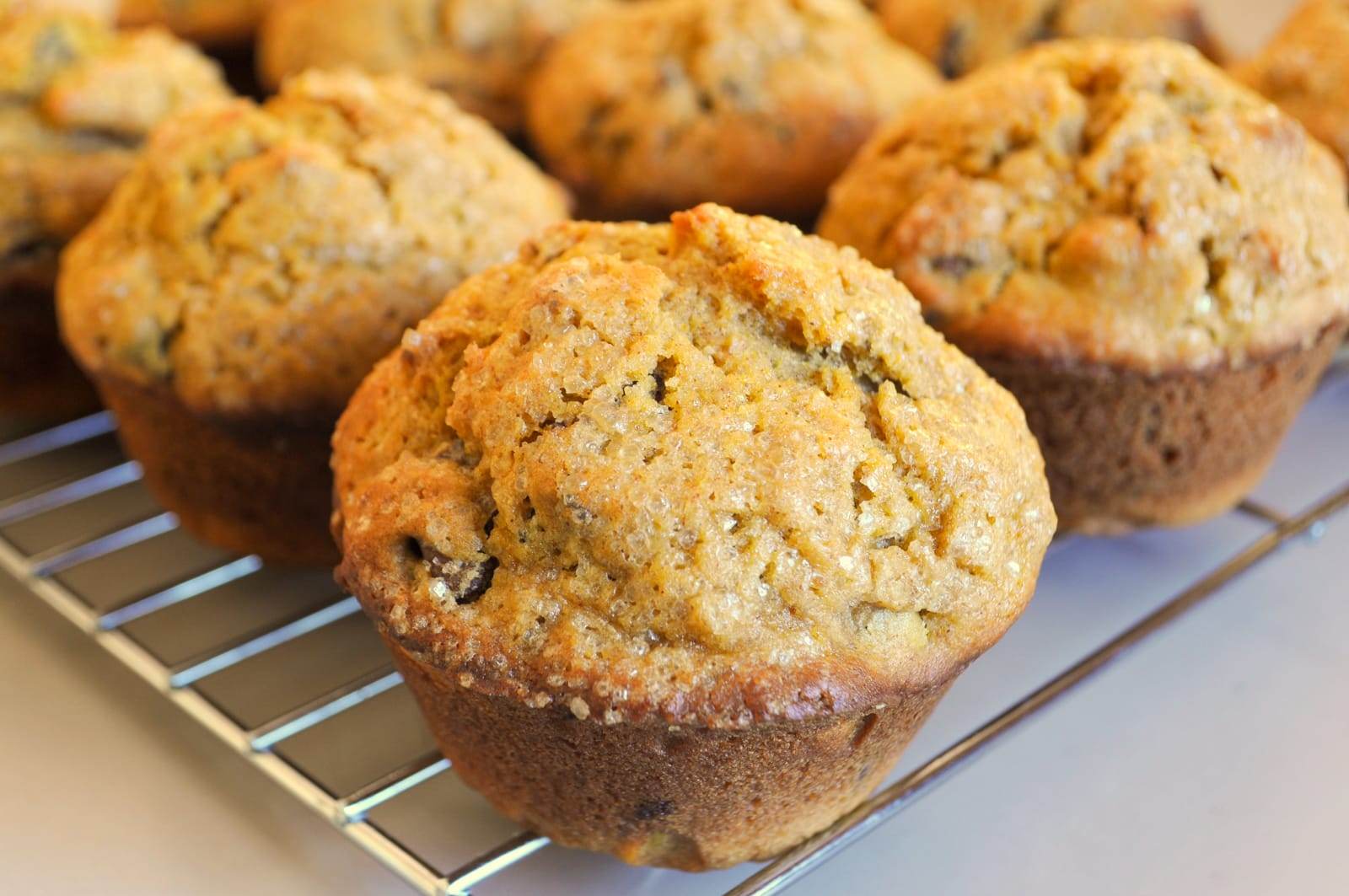 Pumpkin, Cranberry, and Pecan Muffins