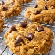 Pumpkin Oatmeal Chocolate Chip Cookies