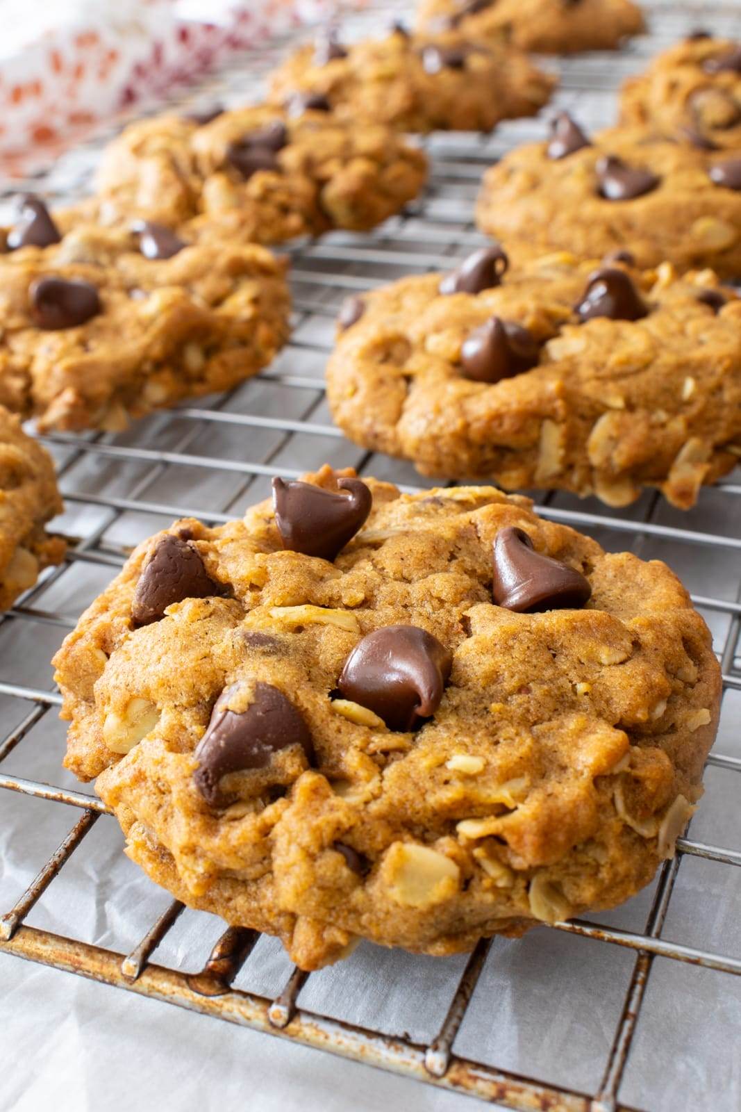 Pumpkin Oatmeal Chocolate Chip Cookies