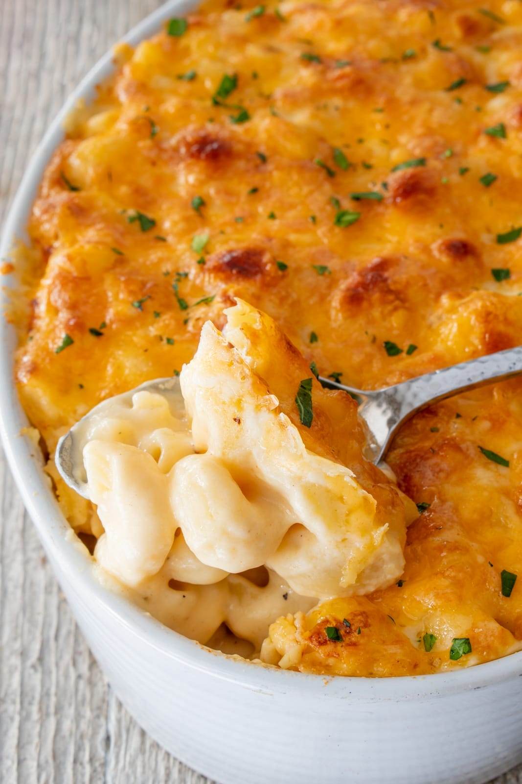 Baked Macaroni and Cheese