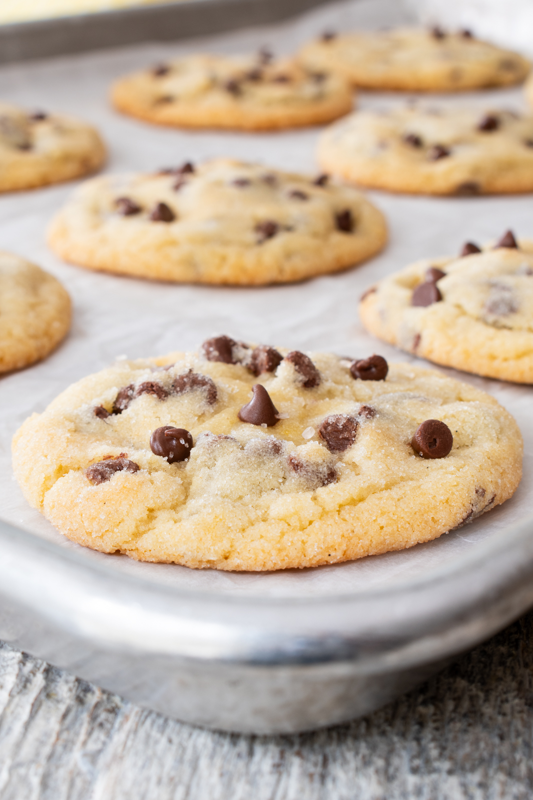 Chocolate Chip Sugar Cookies