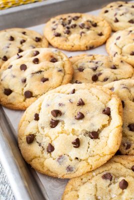 Chocolate Chip Sugar Cookies