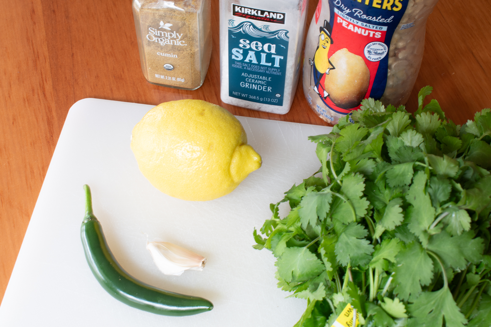 Cilantro Chutney